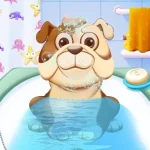Animal Daycare igra online - igraj besplatno