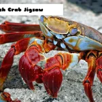 Beach Crab Jigsaw igra online - igraj besplatno