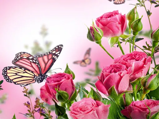 Butterflies Puzzle igra online - igraj besplatno