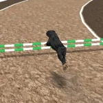 Crazy Real Dog Race igra online - igraj besplatno