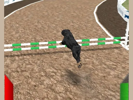 Crazy Real Dog Race igra online - igraj besplatno