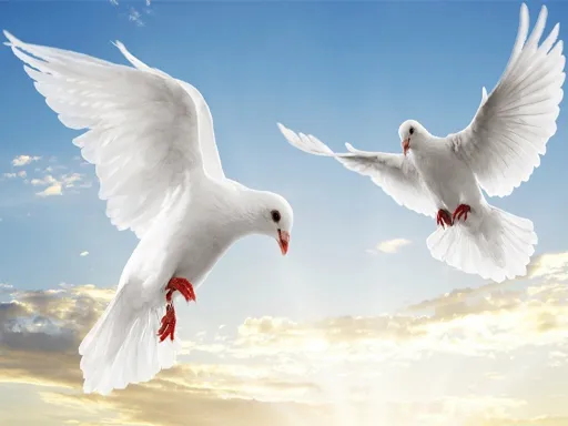Flying Birds Slide igra online - igraj besplatno