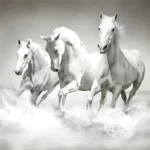 Horses Puzzle igra online - igraj besplatno