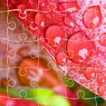 Jigsaw Puzzles igra online - igraj besplatno