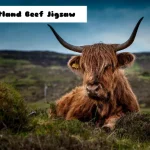 Scotland Beef Jigsaw igra online - igraj besplatno
