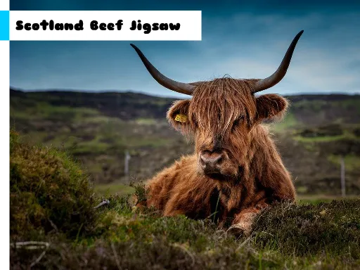 Scotland Beef Jigsaw igra online - igraj besplatno