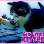 Six Little Kittens igra online - igraj besplatno
