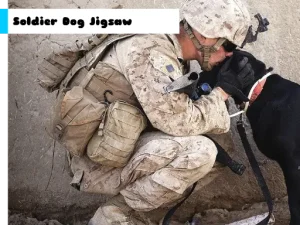 Online igrice